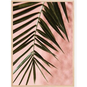 Bildverkstad Pink Pastell Palm Plakat (21x29.7 Cm (A4))