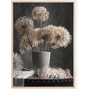 Bildverkstad Dandelion Seed Pod Plakat (50x70 Cm)