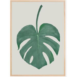 Bildverkstad Monstera Aqua Plakat (50x70 Cm)