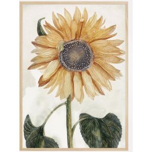 Bildverkstad Sunflower Art Plakat (21x29.7 Cm (A4))