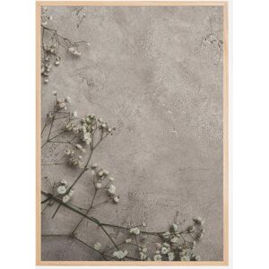 Bildverkstad Stone Flowers Plakat (21x29.7 Cm (A4))