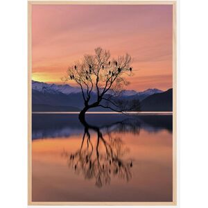 Bildverkstad Lone Tree Is Not Lonely Plakat (50x70 Cm)