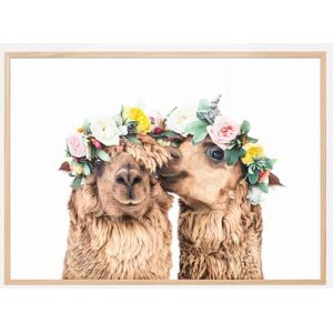 Bildverkstad Boho Alpacas Plakat (100x140 Cm)