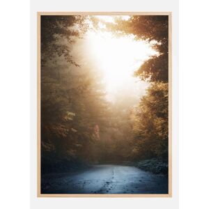 Bildverkstad Autumn Misty Road Plakat (50x70 Cm)