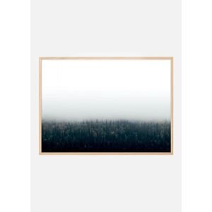 Bildverkstad Forests In Fog Plakat (21x29.7 Cm (A4))