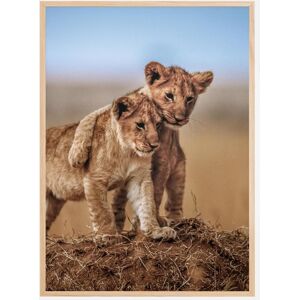 Bildverkstad Lion Brothers For Life Plakat (30x40 Cm)