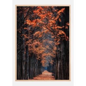 Bildverkstad Way To Winter Plakat (21x29.7 Cm (A4))