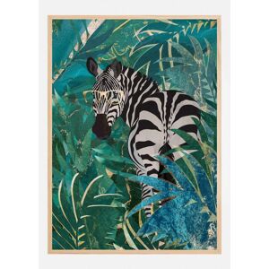 Bildverkstad Zebra In The Jungle Ii Plakat (50x70 Cm)