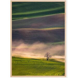 Bildverkstad Sunset In Palouse Plakat (50x70 Cm)