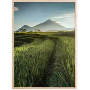 Bildverkstad Beautiful Landscape Plakat (21x29.7 Cm (A4))