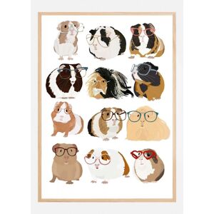 Bildverkstad Guinea Pig In Glasses Plakat (60x90 Cm)