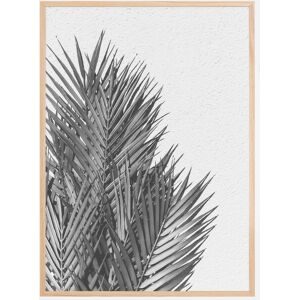 Bildverkstad Palm Leaves Plakat (50x70 Cm)