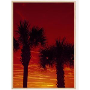 Bildverkstad Red Palms Plakat (30x40 Cm)