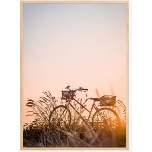 Bildverkstad Bike Ride In The Sunset Plakat (70x100 Cm)