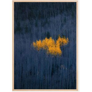 Bildverkstad Heart Of Aspens Plakat (21x29.7 Cm (A4))