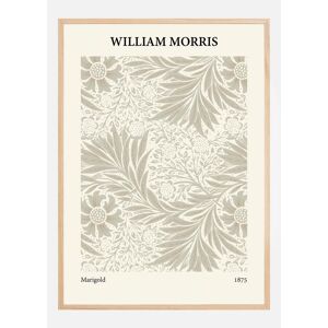 Bildverkstad William Morris - Marigold 2 Plakat (21x29.7 Cm (A4))