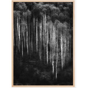 Bildverkstad Forest Art Plakat (70x100 Cm)