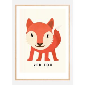 Bildverkstad Red Fox Plakat (30x40 Cm)