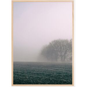 Bildverkstad Fogy Morning Plakat (21x29.7 Cm (A4))