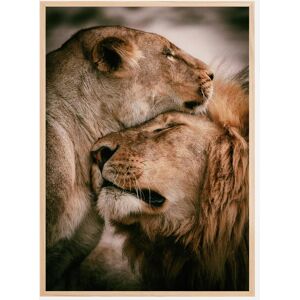 Bildverkstad What Is Love Plakat (21x29.7 Cm (A4))