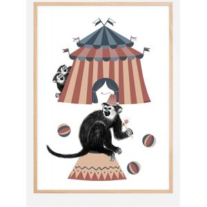 Bildverkstad Circus Plakat (50x70 Cm)