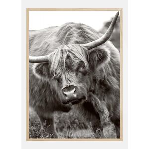 Bildverkstad The Bull Plakat (21x29.7 Cm (A4))