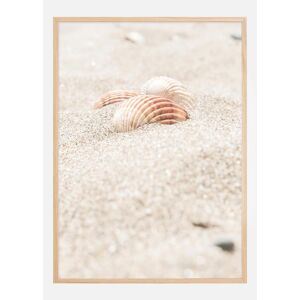 Bildverkstad Seashell Beach Plakat (21x29.7 Cm (A4))