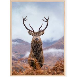 Bildverkstad Red Deer In The Mountains Plakat (21x29.7 Cm (A4))