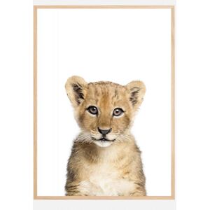 Bildverkstad Baby Lion Plakat (100x140 Cm)