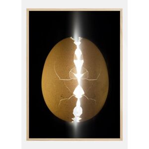 Bildverkstad Alien Egg Plakat (50x70 Cm)