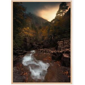 Bildverkstad Calm Forest Plakat (21x29.7 Cm (A4))