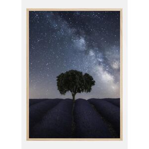 Bildverkstad Tree And Milky Way Plakat (21x29.7 Cm (A4))