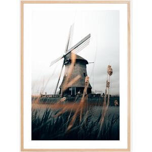 Bildverkstad Dutch Windmill Plakat (50x70 Cm)