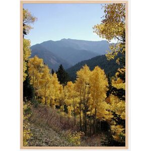 Bildverkstad Yellow Trees Plakat (50x70 Cm)