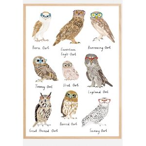 Bildverkstad Owls In Glasses Print Plakat (50x70 Cm)