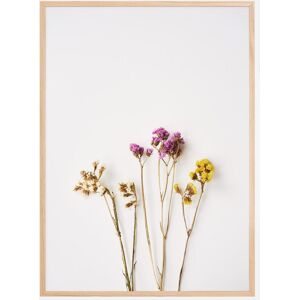 Bildverkstad Dried Flowers I Plakat (21x29.7 Cm (A4))