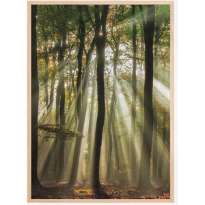 Bildverkstad Sunny Start To The Day Plakat (21x29.7 Cm (A4))