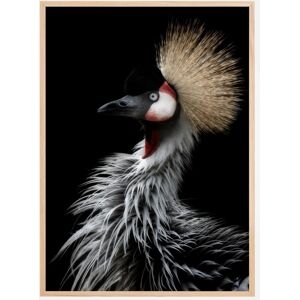 Bildverkstad Crowned Cranes Portrait Plakat (21x29.7 Cm (A4))