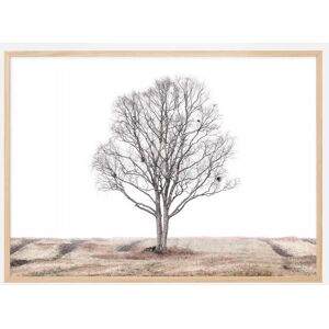 Bildverkstad The Lonely Tree Plakat (21x29.7 Cm (A4))