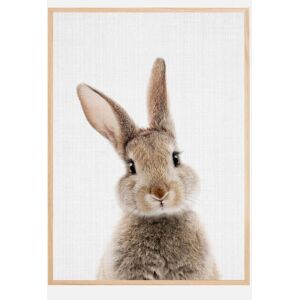 Bildverkstad Peekaboo Bunny Plakat (50x70 Cm)