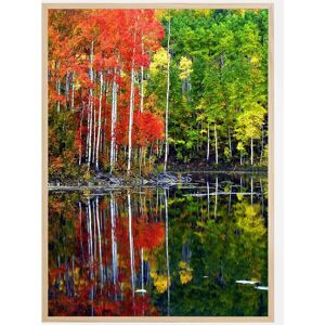 Bildverkstad Colourful Trees By The Lake Plakat (50x70 Cm)