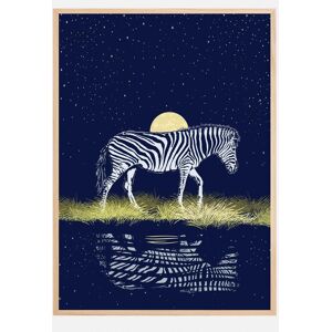 Bildverkstad Zebra At Waterhole Moonrise Plakat (40x60 Cm)