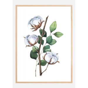 Bildverkstad Cotton Flower Plakat (21x29.7 Cm (A4))