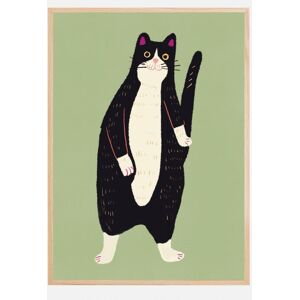 Bildverkstad Black And White Cat Plakat (100x140 Cm)