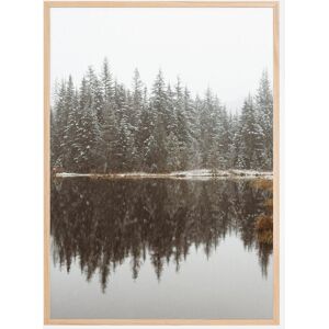 Bildverkstad Cold Day By The Lake Plakat (21x29.7 Cm (A4))