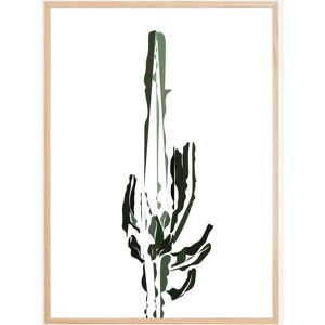 Bildverkstad Cactus Plakat (70x100 Cm)