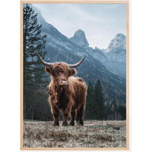 Bildverkstad Highland Plakat (21x29.7 Cm (A4))