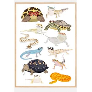 Bildverkstad Reptiles In Glasses Plakat (30x40 Cm)