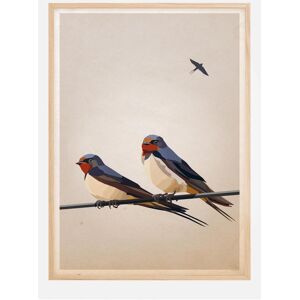 Bildverkstad Swallows Plakat (21x29.7 Cm (A4))