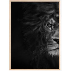 Bildverkstad Half Lion Plakat (21x29.7 Cm (A4))